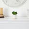 6'' Succulent Artificial Plant in White Ceramic Planter